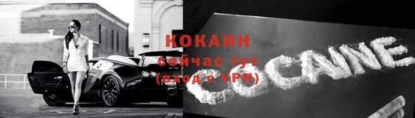 ALPHA-PVP Елизово