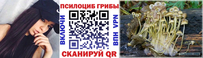 Псилоцибиновые грибы прущие грибы Волгодонск