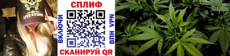 Марихуана тримм  Волгодонск 